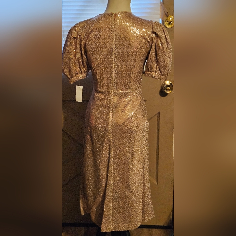 NWT Rachel Parcell Rose Sequin Puff Shoulder Midi Dress XS - Picture 7 of 8